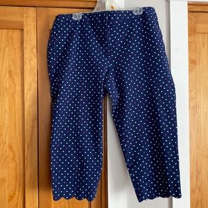 Talbots Capris Pant